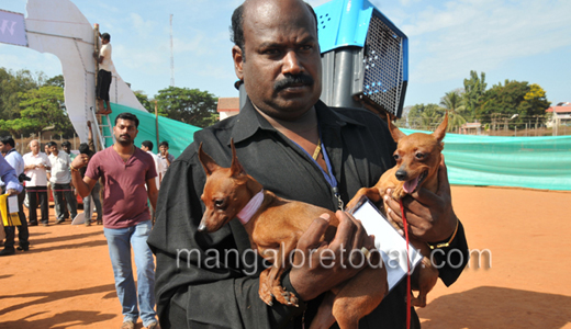 Dog show in Mangalore